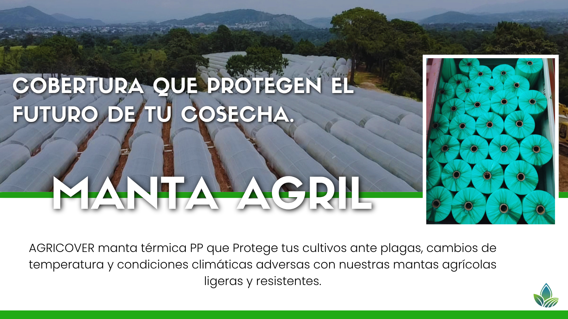 MANTA FLOTANTE